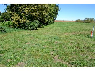 Property photo 33 - LAND AUCTION - 622.9+/- ACRES OFFERED IN 9 TRACTS IN JASPER COUNTY, INDIANA