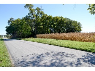 Property photo 19 - LAND AUCTION - 622.9+/- ACRES OFFERED IN 9 TRACTS IN JASPER COUNTY, INDIANA