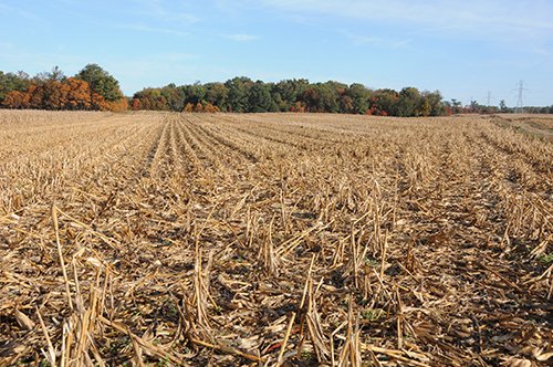 Property photo 17 - LAND AUCTION - 307.75+/- ACRES OFFERED IN 5 TRACTS IN PULASKI COUNTY, INDIANA