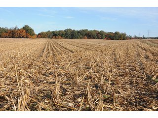 Property photo 17 - LAND AUCTION - 307.75+/- ACRES OFFERED IN 5 TRACTS IN PULASKI COUNTY, INDIANA