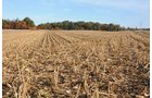 Property photo 17 - LAND AUCTION - 307.75+/- ACRES OFFERED IN 5 TRACTS IN PULASKI COUNTY, INDIANA