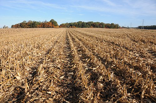 Property photo 9 - LAND AUCTION - 307.75+/- ACRES OFFERED IN 5 TRACTS IN PULASKI COUNTY, INDIANA