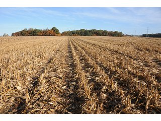Property photo 9 - LAND AUCTION - 307.75+/- ACRES OFFERED IN 5 TRACTS IN PULASKI COUNTY, INDIANA