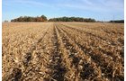 Property photo 9 - LAND AUCTION - 307.75+/- ACRES OFFERED IN 5 TRACTS IN PULASKI COUNTY, INDIANA