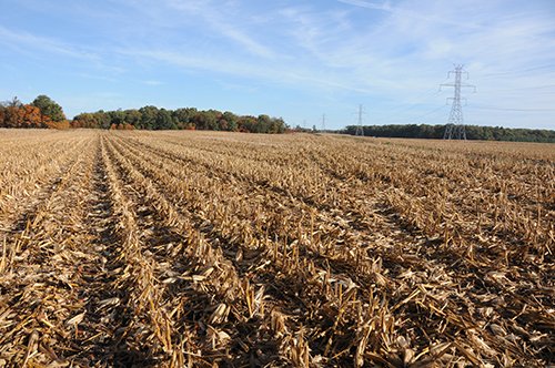 Property photo 1 - LAND AUCTION - 307.75+/- ACRES OFFERED IN 5 TRACTS IN PULASKI COUNTY, INDIANA