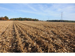 Property photo 1 - LAND AUCTION - 307.75+/- ACRES OFFERED IN 5 TRACTS IN PULASKI COUNTY, INDIANA