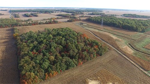 Property photo 10 - LAND AUCTION - 307.75+/- ACRES OFFERED IN 5 TRACTS IN PULASKI COUNTY, INDIANA