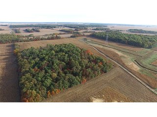 Property photo 4 - LAND AUCTION - 307.75+/- ACRES OFFERED IN 5 TRACTS IN PULASKI COUNTY, INDIANA