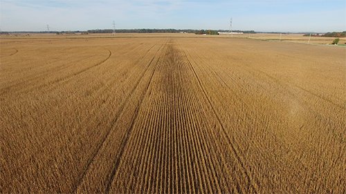 Property photo 11 - LAND AUCTION - 307.75+/- ACRES OFFERED IN 5 TRACTS IN PULASKI COUNTY, INDIANA