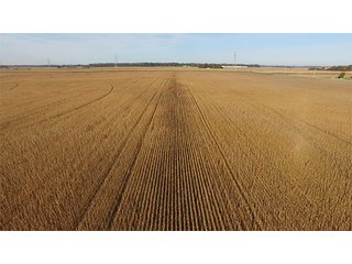 Property photo 11 - LAND AUCTION - 307.75+/- ACRES OFFERED IN 5 TRACTS IN PULASKI COUNTY, INDIANA