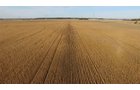 Property photo 11 - LAND AUCTION - 307.75+/- ACRES OFFERED IN 5 TRACTS IN PULASKI COUNTY, INDIANA