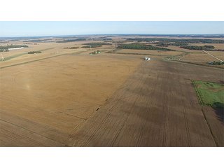 Property photo 6 - LAND AUCTION - 307.75+/- ACRES OFFERED IN 5 TRACTS IN PULASKI COUNTY, INDIANA