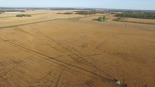 LAND AUCTION - 307.75+/- ACRES OFFERED IN 5 TRACTS IN PULASKI COUNTY, INDIANA