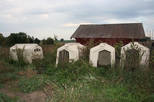 Property photo 100 - FARM EQUIPMENT AUCTION IN STEUBEN COUNTY, INDIANA