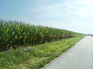Property photo 40 - HIGH QUALITY CROPLAND AUCTION - 671+/- ACRES - FOUR FARMS - 8 TRACTS IN UNION COUNTY, INDIANA