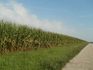 Property photo 46 - HIGH QUALITY CROPLAND AUCTION - 671+/- ACRES - FOUR FARMS - 8 TRACTS IN UNION COUNTY, INDIANA