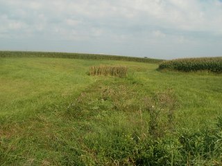 Property photo 24 - HIGH QUALITY CROPLAND AUCTION - 671+/- ACRES - FOUR FARMS - 8 TRACTS IN UNION COUNTY, INDIANA