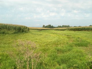 Property photo 38 - HIGH QUALITY CROPLAND AUCTION - 671+/- ACRES - FOUR FARMS - 8 TRACTS IN UNION COUNTY, INDIANA