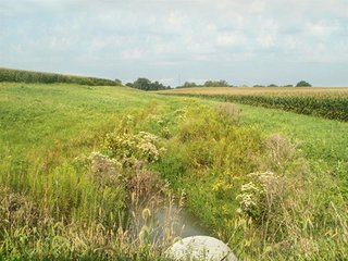 Property photo 39 - HIGH QUALITY CROPLAND AUCTION - 671+/- ACRES - FOUR FARMS - 8 TRACTS IN UNION COUNTY, INDIANA