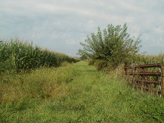 Property photo 30 - HIGH QUALITY CROPLAND AUCTION - 671+/- ACRES - FOUR FARMS - 8 TRACTS IN UNION COUNTY, INDIANA