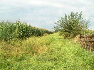Property photo 31 - HIGH QUALITY CROPLAND AUCTION - 671+/- ACRES - FOUR FARMS - 8 TRACTS IN UNION COUNTY, INDIANA
