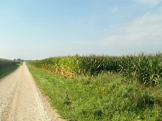 Property photo 48 - HIGH QUALITY CROPLAND AUCTION - 671+/- ACRES - FOUR FARMS - 8 TRACTS IN UNION COUNTY, INDIANA