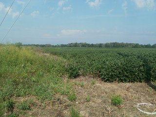 Property photo 64 - HIGH QUALITY CROPLAND AUCTION - 671+/- ACRES - FOUR FARMS - 8 TRACTS IN UNION COUNTY, INDIANA