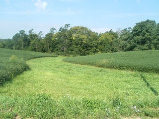 Property photo 36 - HIGH QUALITY CROPLAND AUCTION - 671+/- ACRES - FOUR FARMS - 8 TRACTS IN UNION COUNTY, INDIANA