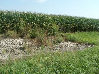 Property photo 28 - HIGH QUALITY CROPLAND AUCTION - 671+/- ACRES - FOUR FARMS - 8 TRACTS IN UNION COUNTY, INDIANA