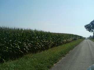 Property photo 42 - HIGH QUALITY CROPLAND AUCTION - 671+/- ACRES - FOUR FARMS - 8 TRACTS IN UNION COUNTY, INDIANA