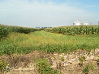 Property photo 58 - HIGH QUALITY CROPLAND AUCTION - 671+/- ACRES - FOUR FARMS - 8 TRACTS IN UNION COUNTY, INDIANA