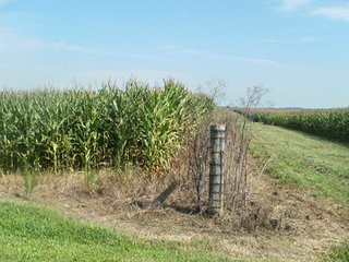 Property photo 25 - HIGH QUALITY CROPLAND AUCTION - 671+/- ACRES - FOUR FARMS - 8 TRACTS IN UNION COUNTY, INDIANA