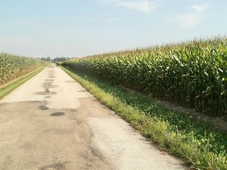 Property photo 47 - HIGH QUALITY CROPLAND AUCTION - 671+/- ACRES - FOUR FARMS - 8 TRACTS IN UNION COUNTY, INDIANA
