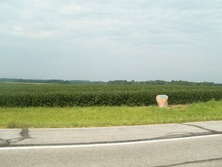 Property photo 41 - HIGH QUALITY CROPLAND AUCTION - 671+/- ACRES - FOUR FARMS - 8 TRACTS IN UNION COUNTY, INDIANA