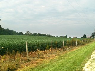 Property photo 37 - HIGH QUALITY CROPLAND AUCTION - 671+/- ACRES - FOUR FARMS - 8 TRACTS IN UNION COUNTY, INDIANA