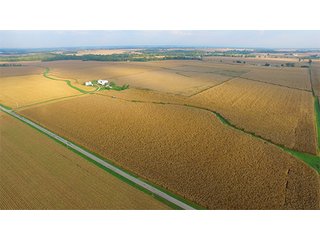 Property photo 6 - HIGH QUALITY CROPLAND AUCTION - 671+/- ACRES - FOUR FARMS - 8 TRACTS IN UNION COUNTY, INDIANA