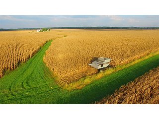 Property photo 8 - HIGH QUALITY CROPLAND AUCTION - 671+/- ACRES - FOUR FARMS - 8 TRACTS IN UNION COUNTY, INDIANA