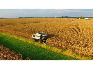 Property photo 7 - HIGH QUALITY CROPLAND AUCTION - 671+/- ACRES - FOUR FARMS - 8 TRACTS IN UNION COUNTY, INDIANA