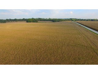 Property photo 16 - HIGH QUALITY CROPLAND AUCTION - 671+/- ACRES - FOUR FARMS - 8 TRACTS IN UNION COUNTY, INDIANA