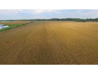 FARM 3-TRACT 4 - HIGH QUALITY CROPLAND AUCTION - 671+/- ACRES - FOUR FARMS - 8 TRACTS IN UNION COUNTY, INDIANA
