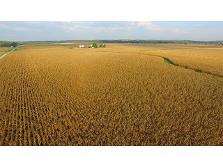 Property photo 22 - HIGH QUALITY CROPLAND AUCTION - 671+/- ACRES - FOUR FARMS - 8 TRACTS IN UNION COUNTY, INDIANA