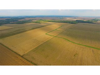FARM 1-TRACT 2 - HIGH QUALITY CROPLAND AUCTION - 671+/- ACRES - FOUR FARMS - 8 TRACTS IN UNION COUNTY, INDIANA