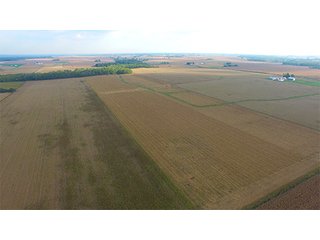 Property photo 23 - HIGH QUALITY CROPLAND AUCTION - 671+/- ACRES - FOUR FARMS - 8 TRACTS IN UNION COUNTY, INDIANA