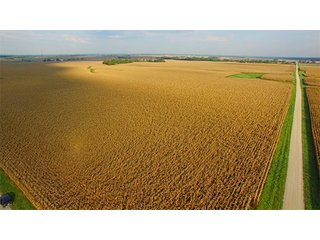 FARM 2-TRACT 3 - HIGH QUALITY CROPLAND AUCTION - 671+/- ACRES - FOUR FARMS - 8 TRACTS IN UNION COUNTY, INDIANA
