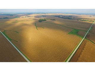 Property photo 21 - HIGH QUALITY CROPLAND AUCTION - 671+/- ACRES - FOUR FARMS - 8 TRACTS IN UNION COUNTY, INDIANA