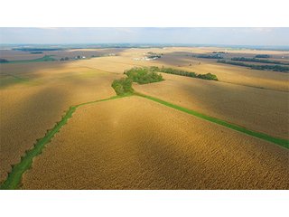 Property photo 4 - HIGH QUALITY CROPLAND AUCTION - 671+/- ACRES - FOUR FARMS - 8 TRACTS IN UNION COUNTY, INDIANA