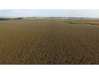 Property photo 17 - HIGH QUALITY CROPLAND AUCTION - 671+/- ACRES - FOUR FARMS - 8 TRACTS IN UNION COUNTY, INDIANA