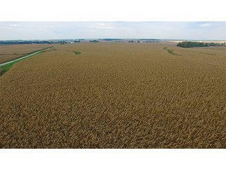 Property photo 11 - HIGH QUALITY CROPLAND AUCTION - 671+/- ACRES - FOUR FARMS - 8 TRACTS IN UNION COUNTY, INDIANA