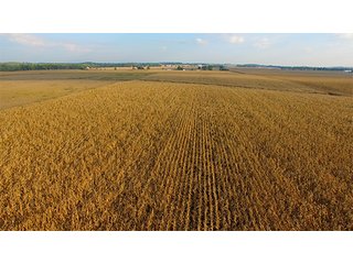 Property photo 13 - HIGH QUALITY CROPLAND AUCTION - 671+/- ACRES - FOUR FARMS - 8 TRACTS IN UNION COUNTY, INDIANA
