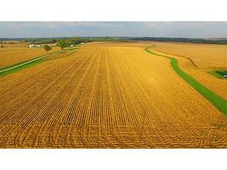Property photo 18 - HIGH QUALITY CROPLAND AUCTION - 671+/- ACRES - FOUR FARMS - 8 TRACTS IN UNION COUNTY, INDIANA